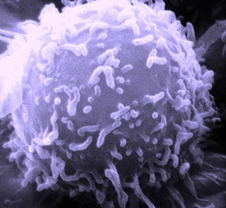 Illustration for article titled Six reasons we should still be interested in carbon nanotubes